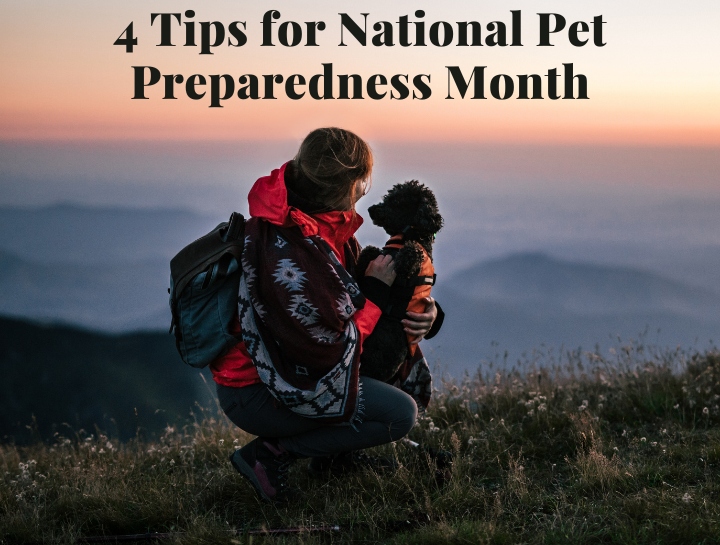 National Pet Preparedness Month Animal House of Chicago